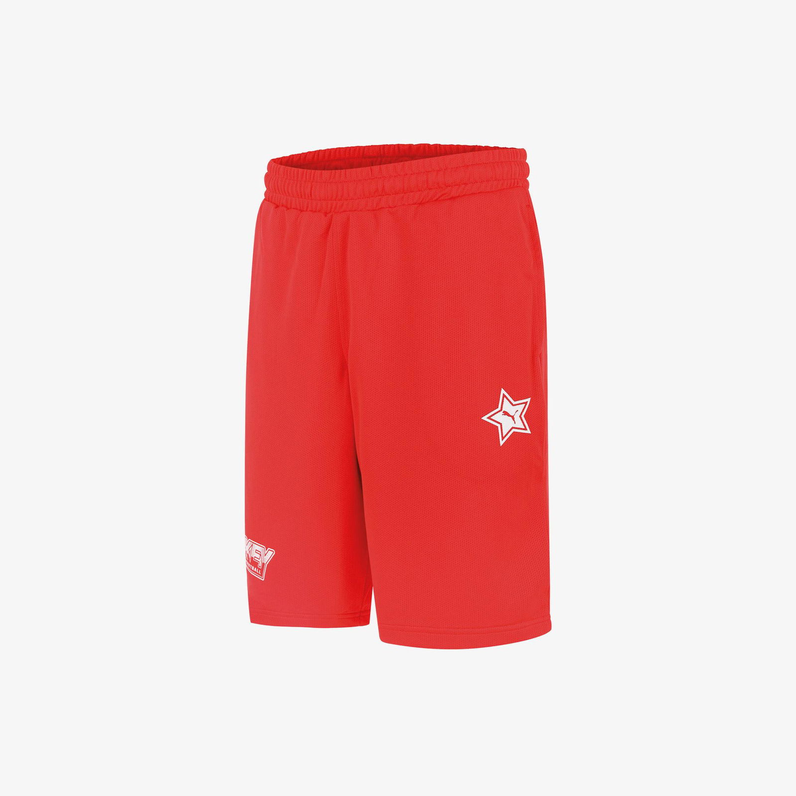 Puma Türkiye Basketbol Milli Takım Fan Erkek Kırmızı Şort