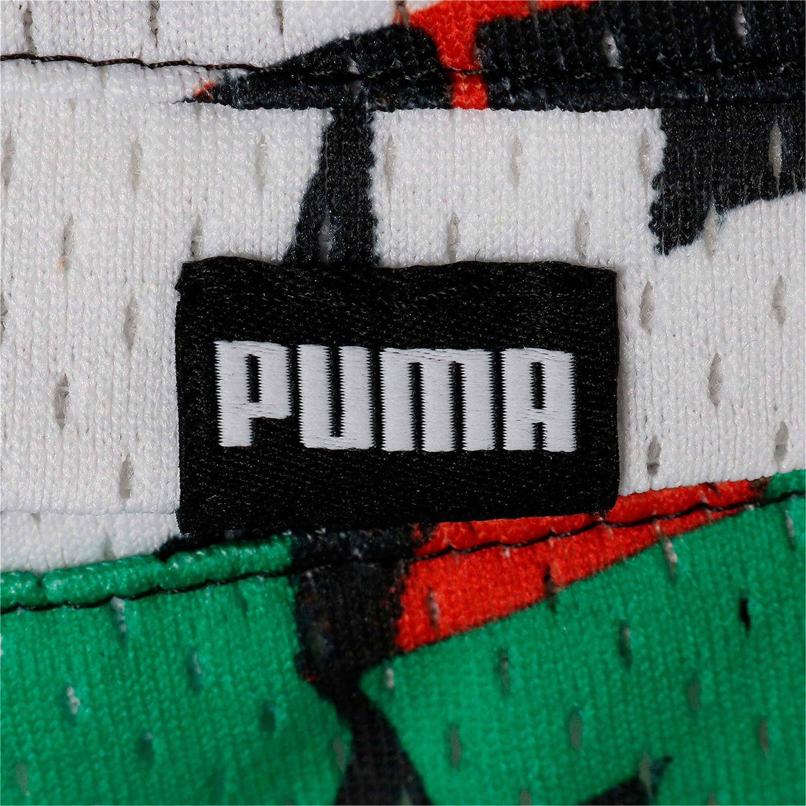 Puma Graffiti Erkek Renkli Şort