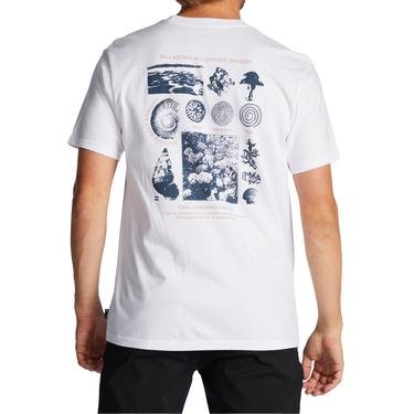 Billabong Tidal Research Erkek Tişört