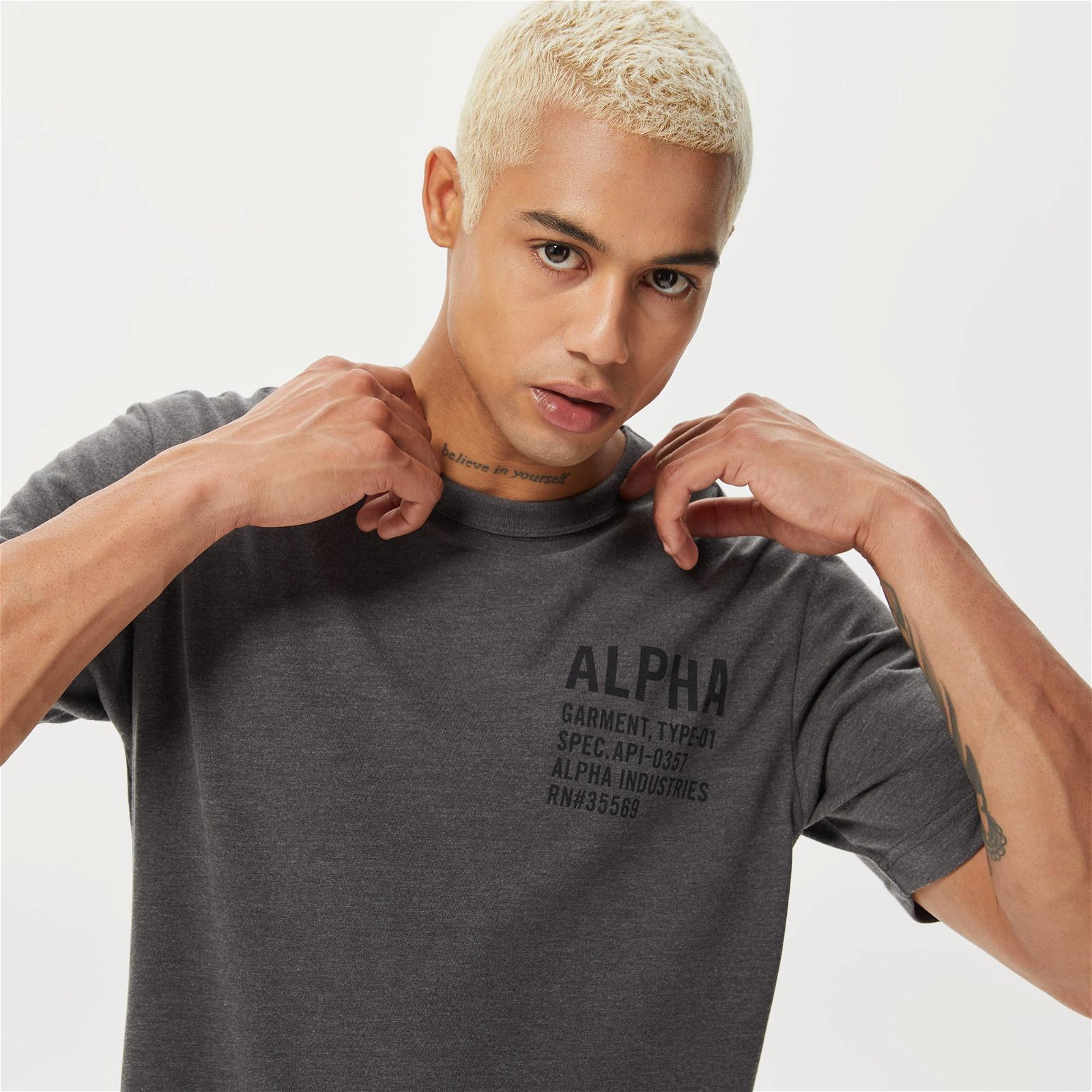 Alpha Industries Alpha Graphic Erkek Gri T-Shirt