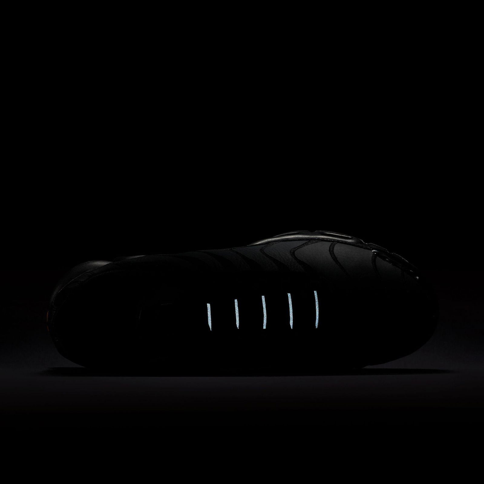 Nike Air Max Plus Erkek Siyah Spor Ayakkabı