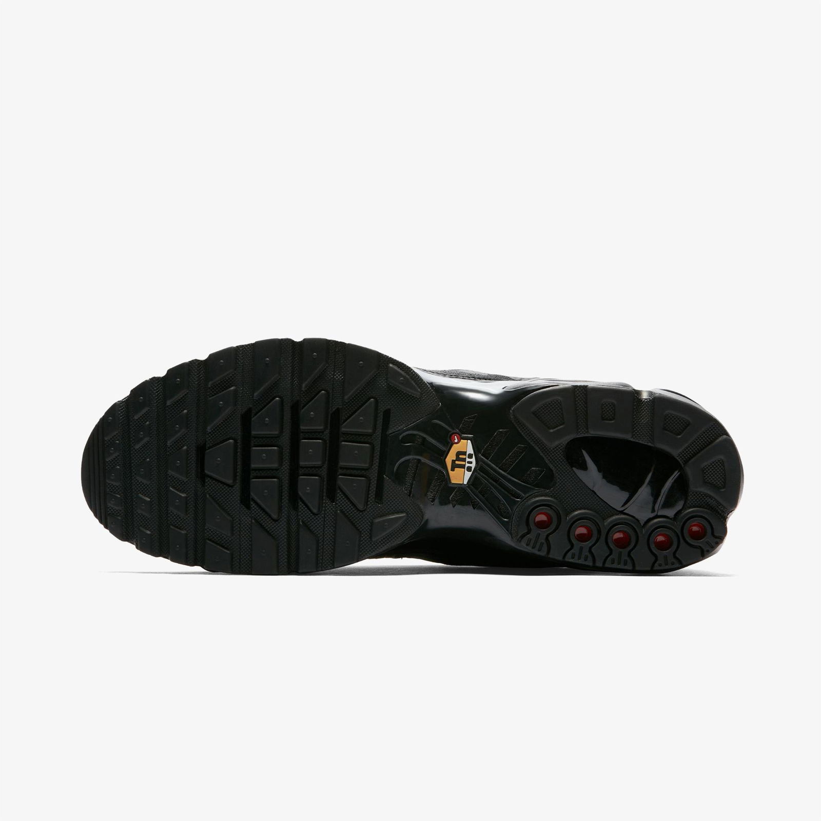 Nike Air Max Plus Erkek Siyah Spor Ayakkabı
