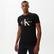 Calvin Klein Jeans Seasonal Monologo Erkek Siyah T-Shirt