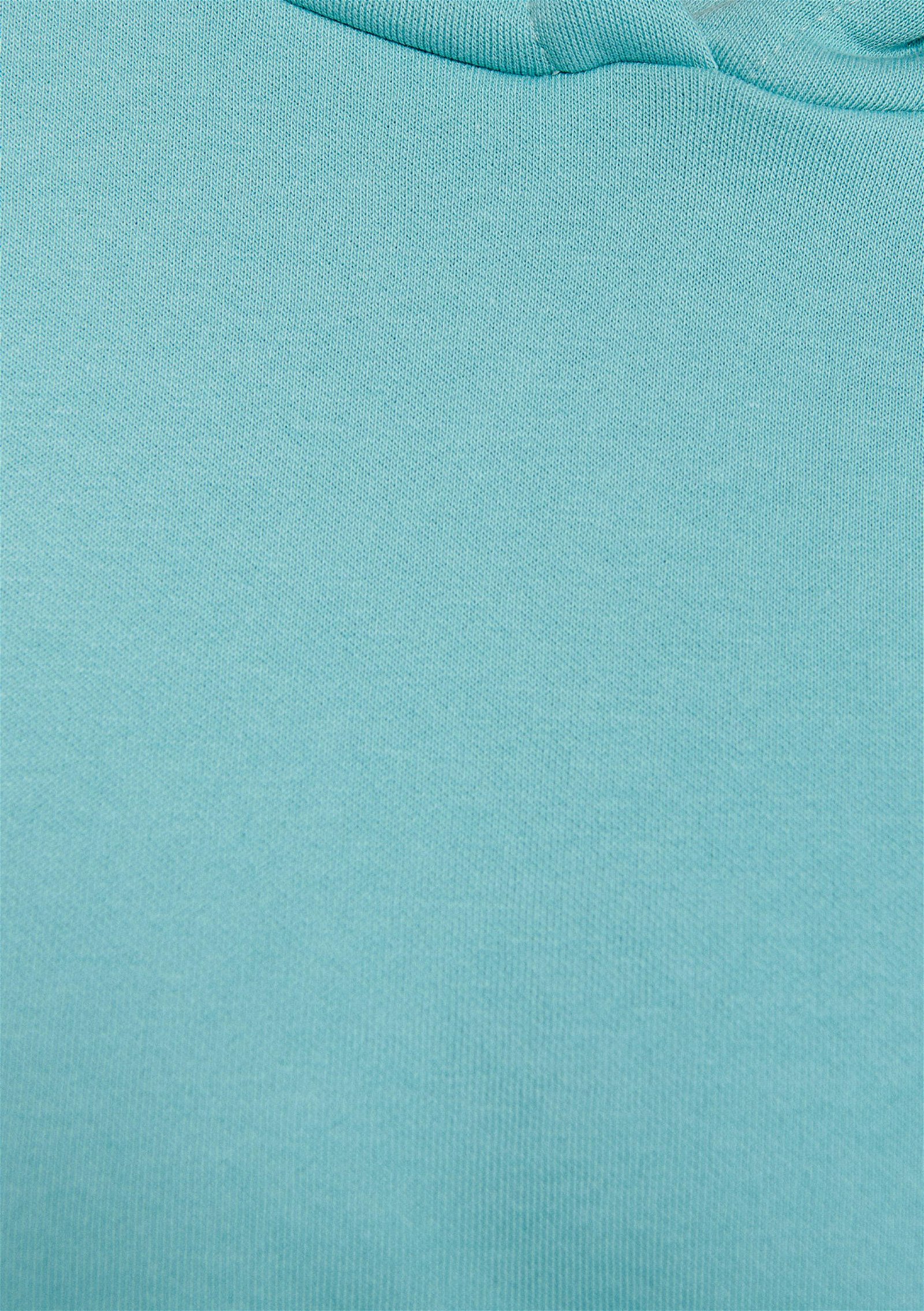 Mavi Kapüşonlu Mavi Basic Sweatshirt 167299-71463