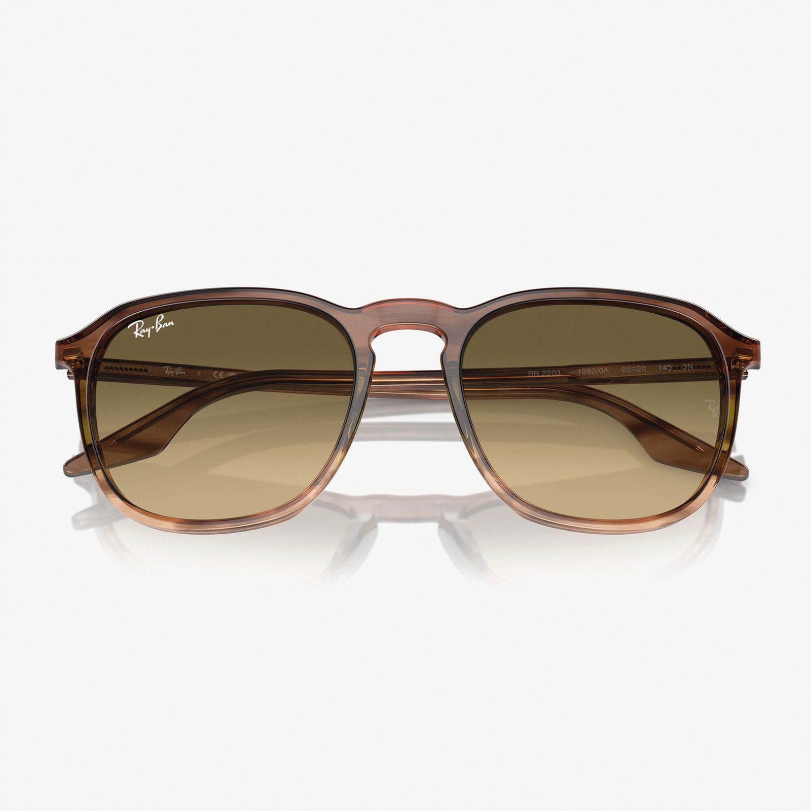 RAY-BAN 0RB2203 Acetate Unisex Kahverengi Güneş Gözlüğü