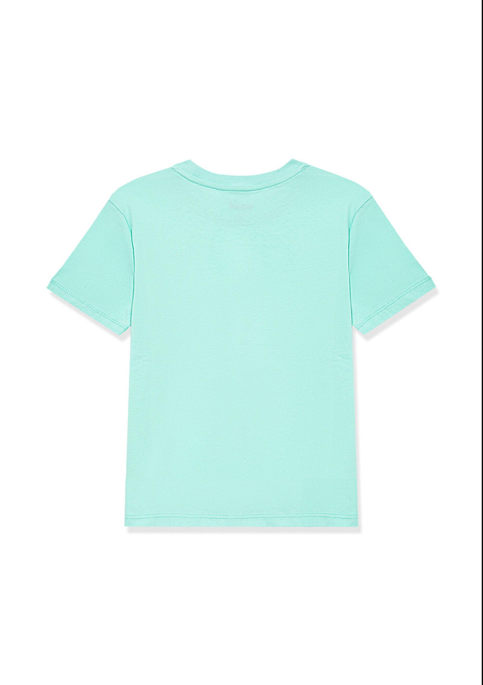 Mavi Yeşil Basic Tişört Regular Fit / Normal Kesim 7610183-71724