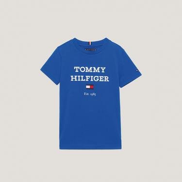  Tommy Hilfiger Logo Erkek Çocuk Mavi T-Shirt