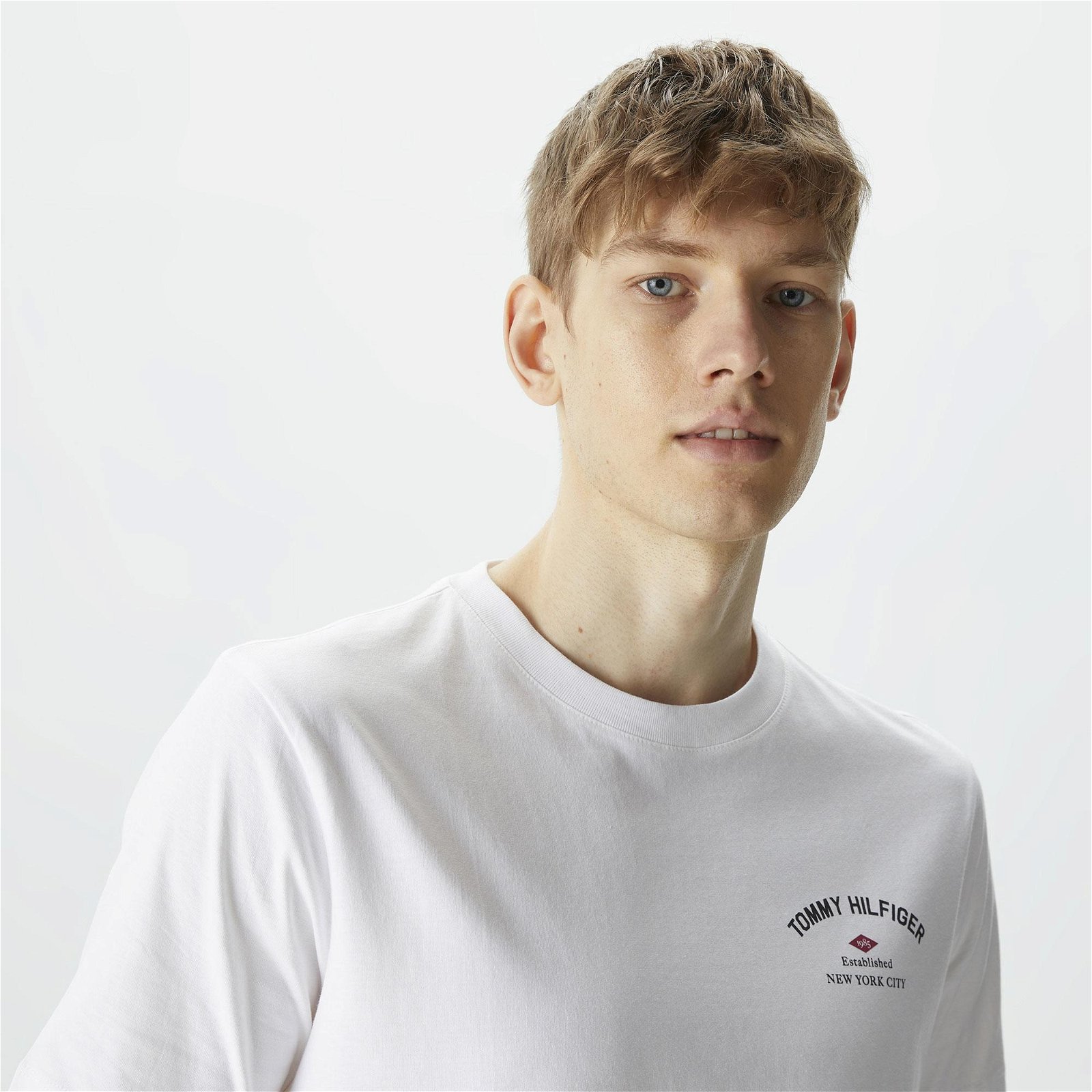 Tommy Hilfiger Photoprint Bridge Erkek Beyaz T-Shirt