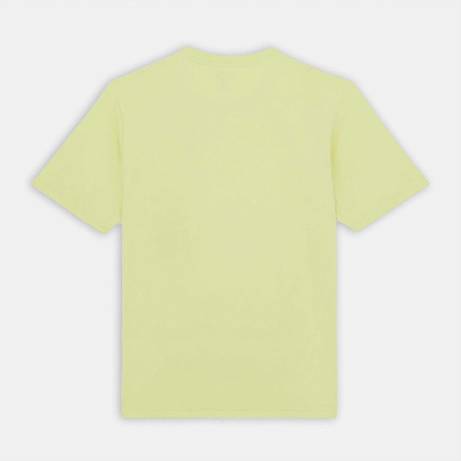 Dickies Mapleton Erkek Yeşil T-Shirt