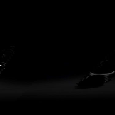 Nike ReactX Pegasus Trail 5 Erkek Siyah Spor Ayakkabı