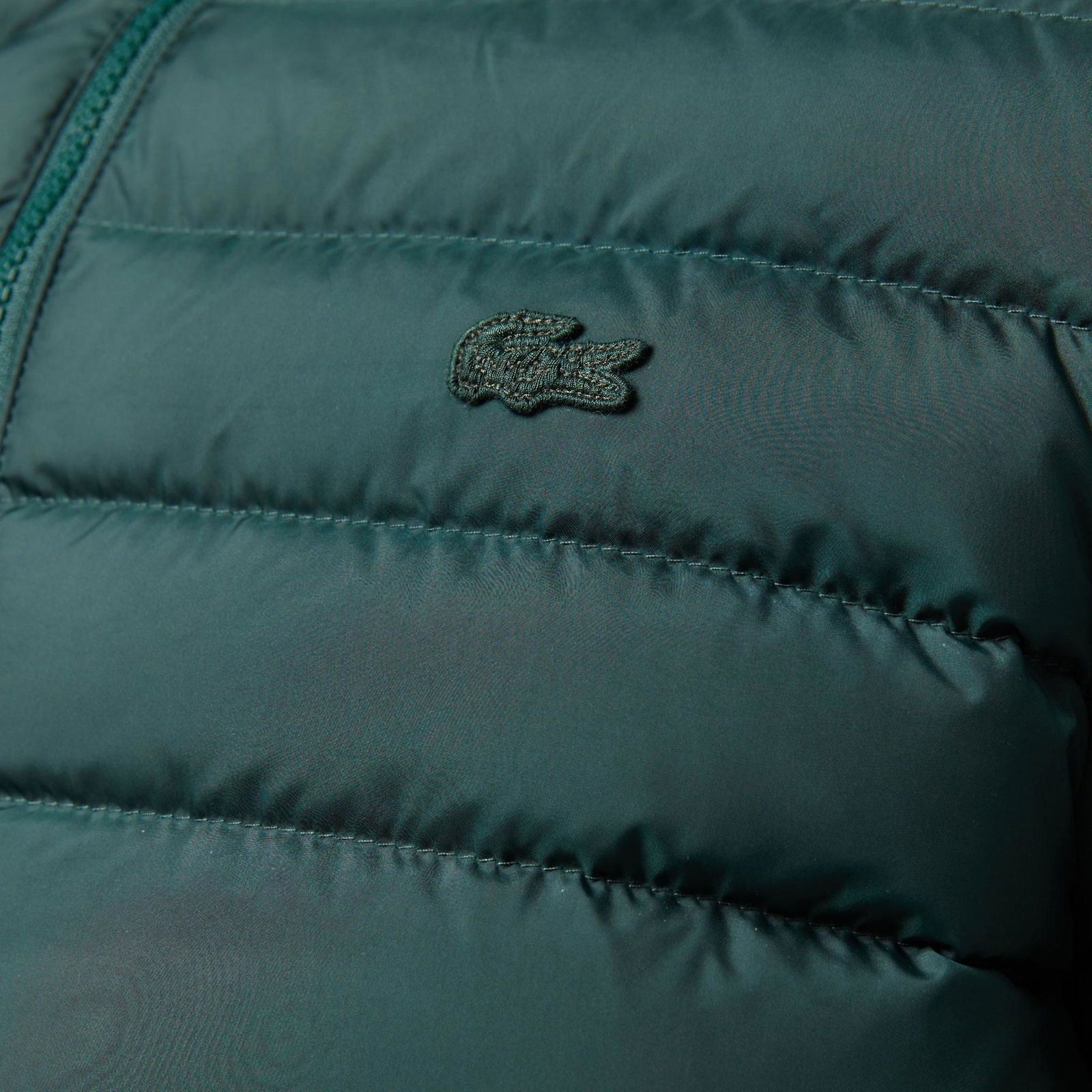 Lacoste Erkek Yeşil Mont