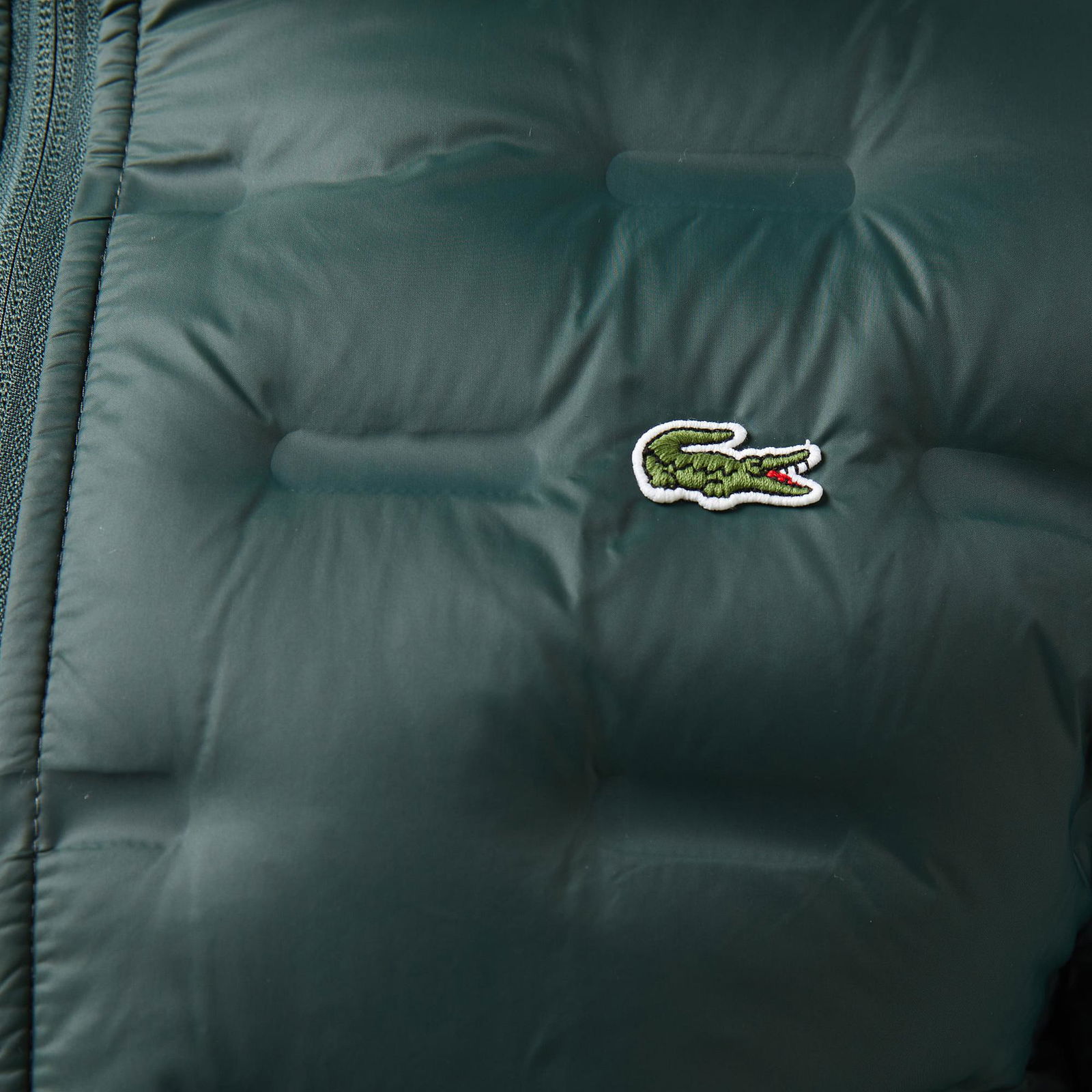 Lacoste Erkek Regular Fit Kapüşonlu Kapitone Koyu Yeşil Mont