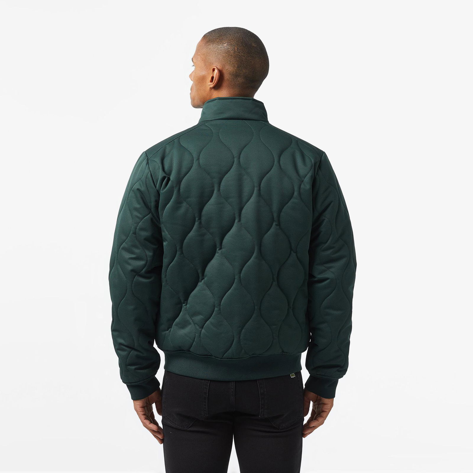 Lacoste Erkek Relaxed Fit Dik Yaka Kapitone Yeşil Mont