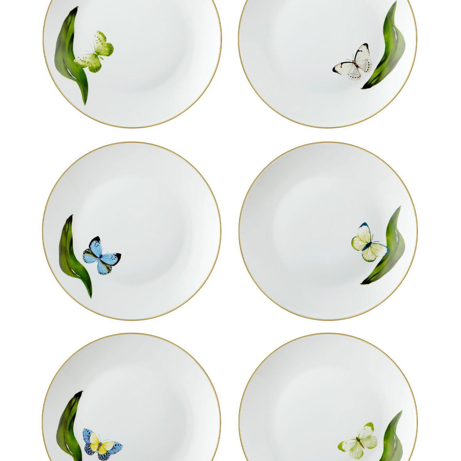 Folium Pasta Tabağı 6 Kişilik