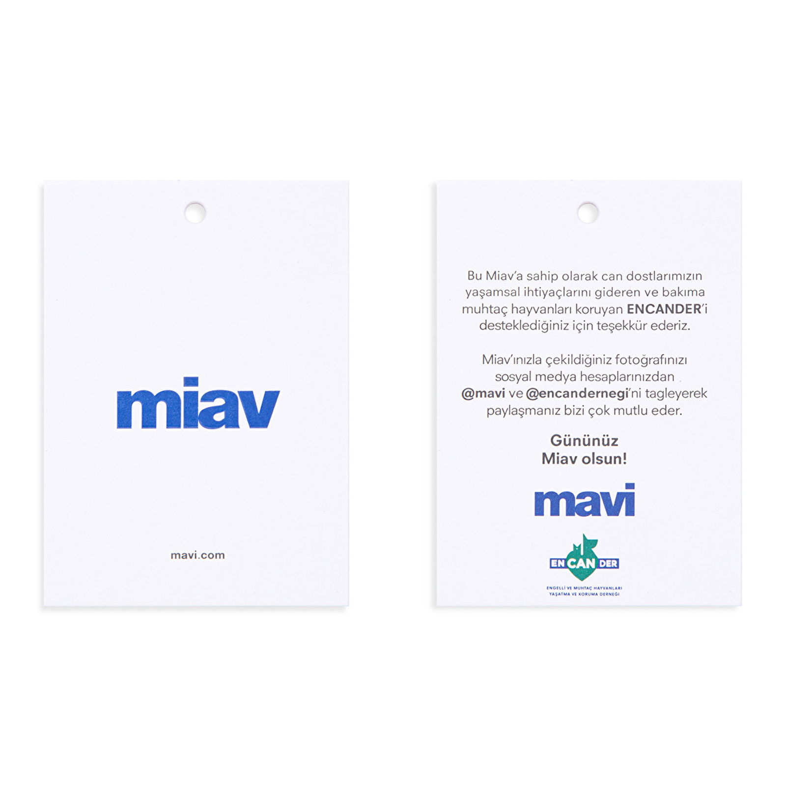 Mavi Kedi Baskılı İstanbul Tişört Regular Fit / Normal Kesim 1610225-620
