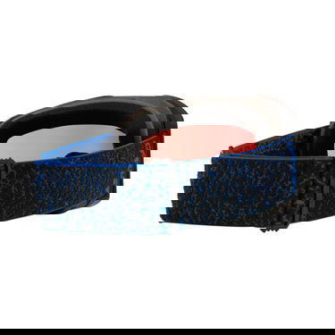 Oakley Goggle Fall Line