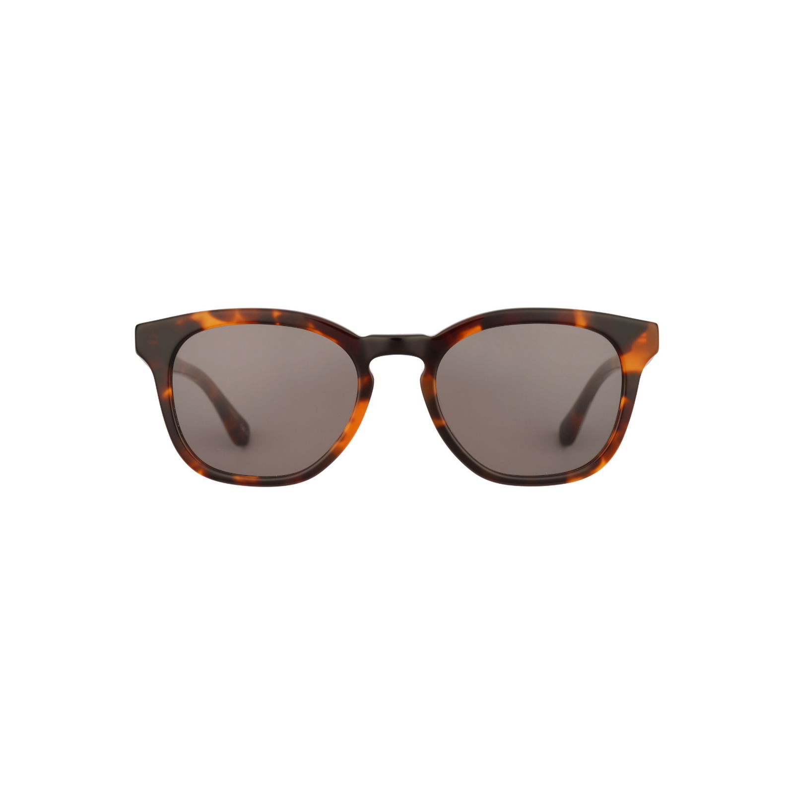 Barbour BA8108 Güneş Gözlüğü
