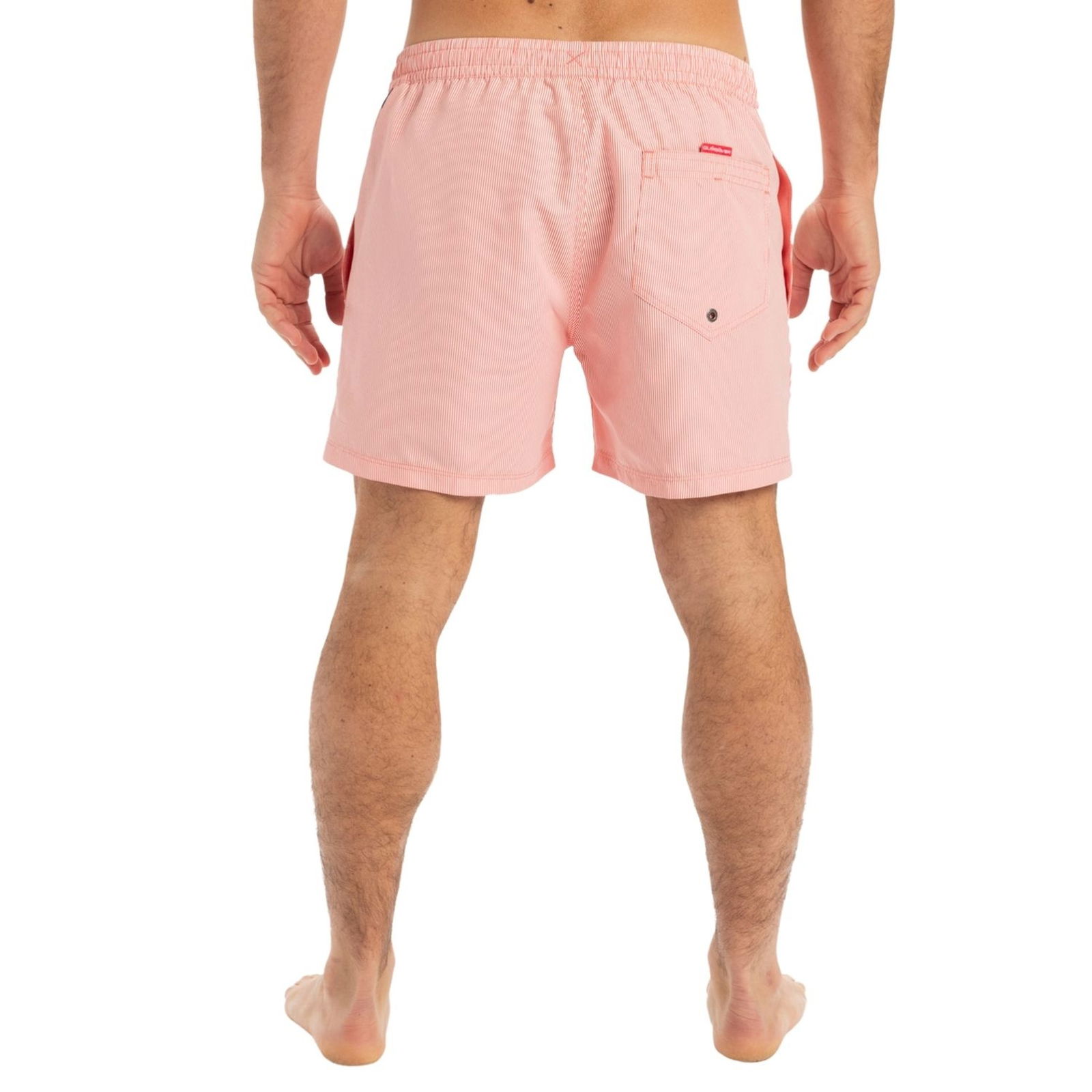 Quiksilver Everyday Deluxe Volley 15 Erkek Volley Short