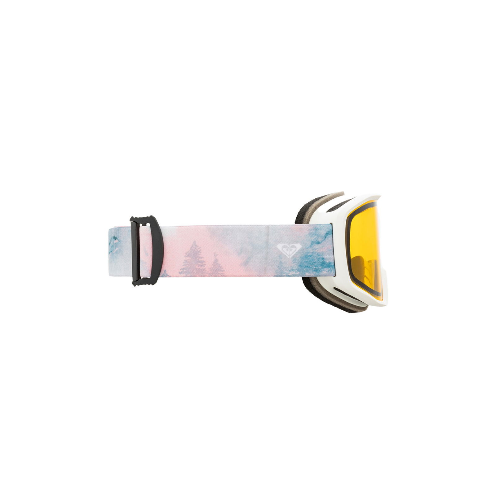 Roxy Izzy Bad Weather Kadın Yeşil Goggle