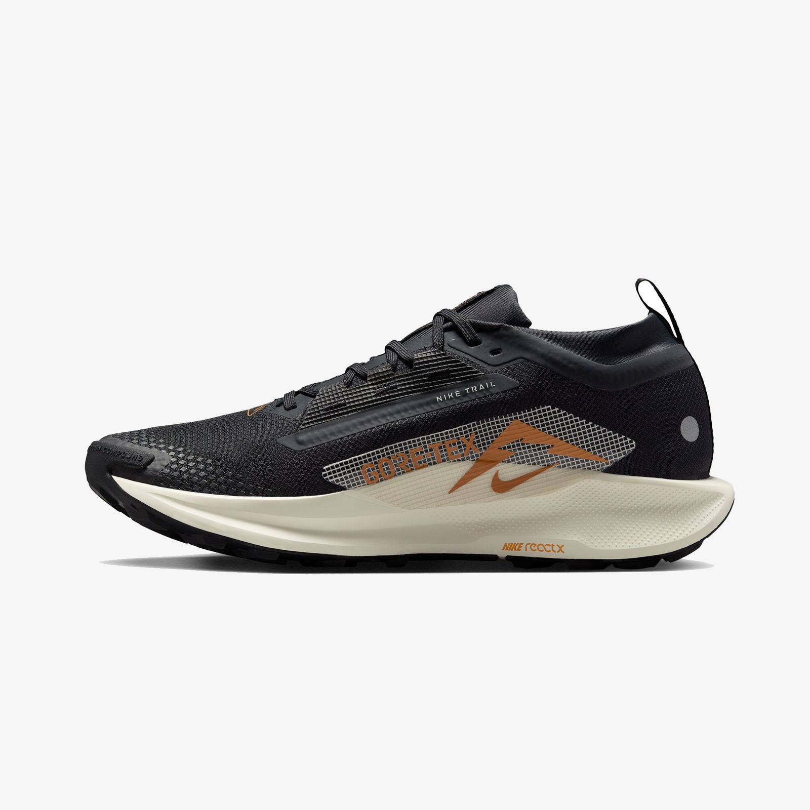 Nike Pegasus Trail 5 GORE-TEX Erkek Siyah Koşu Ayakkabısı