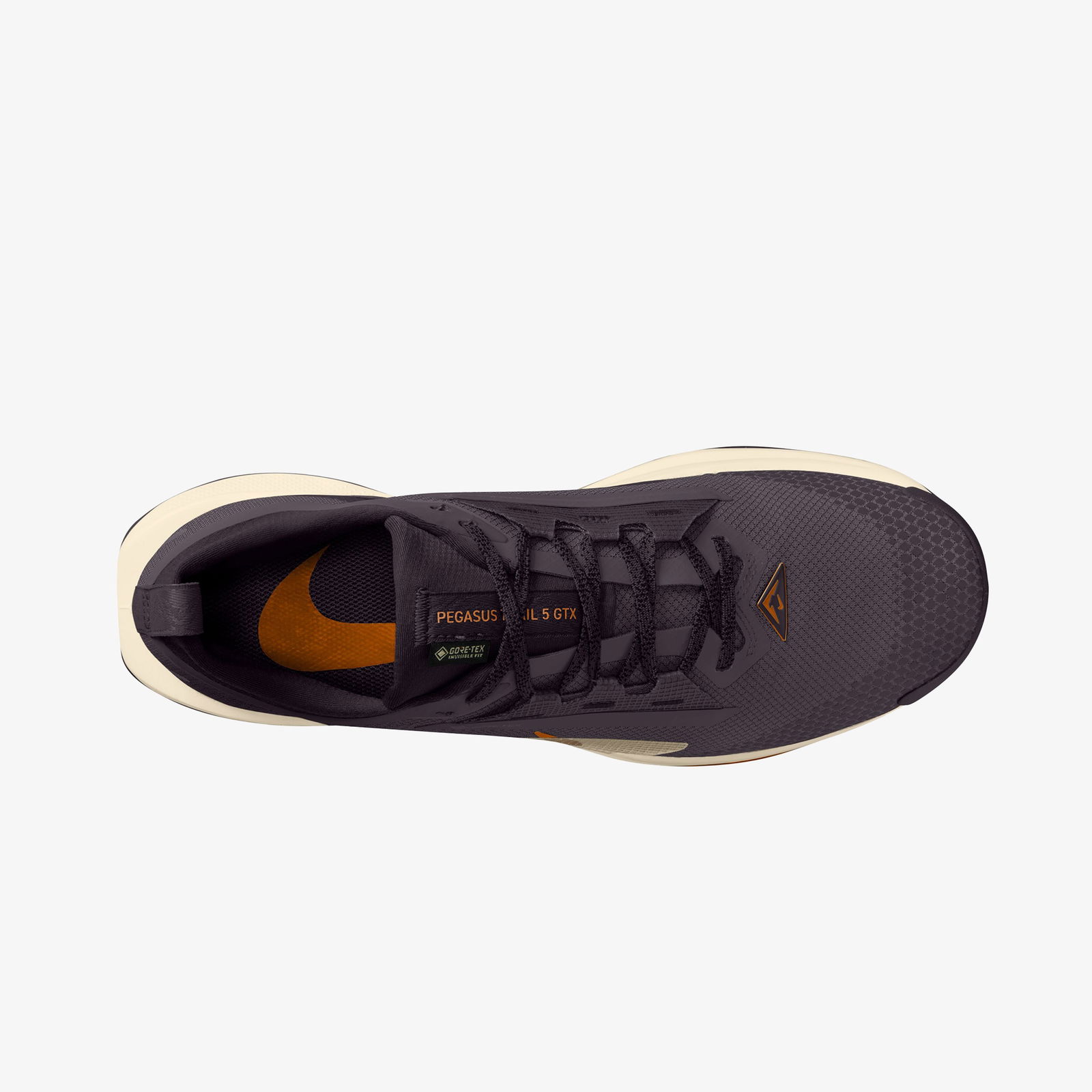 Nike Pegasus Trail 5 GORE-TEX Erkek Siyah Koşu Ayakkabısı