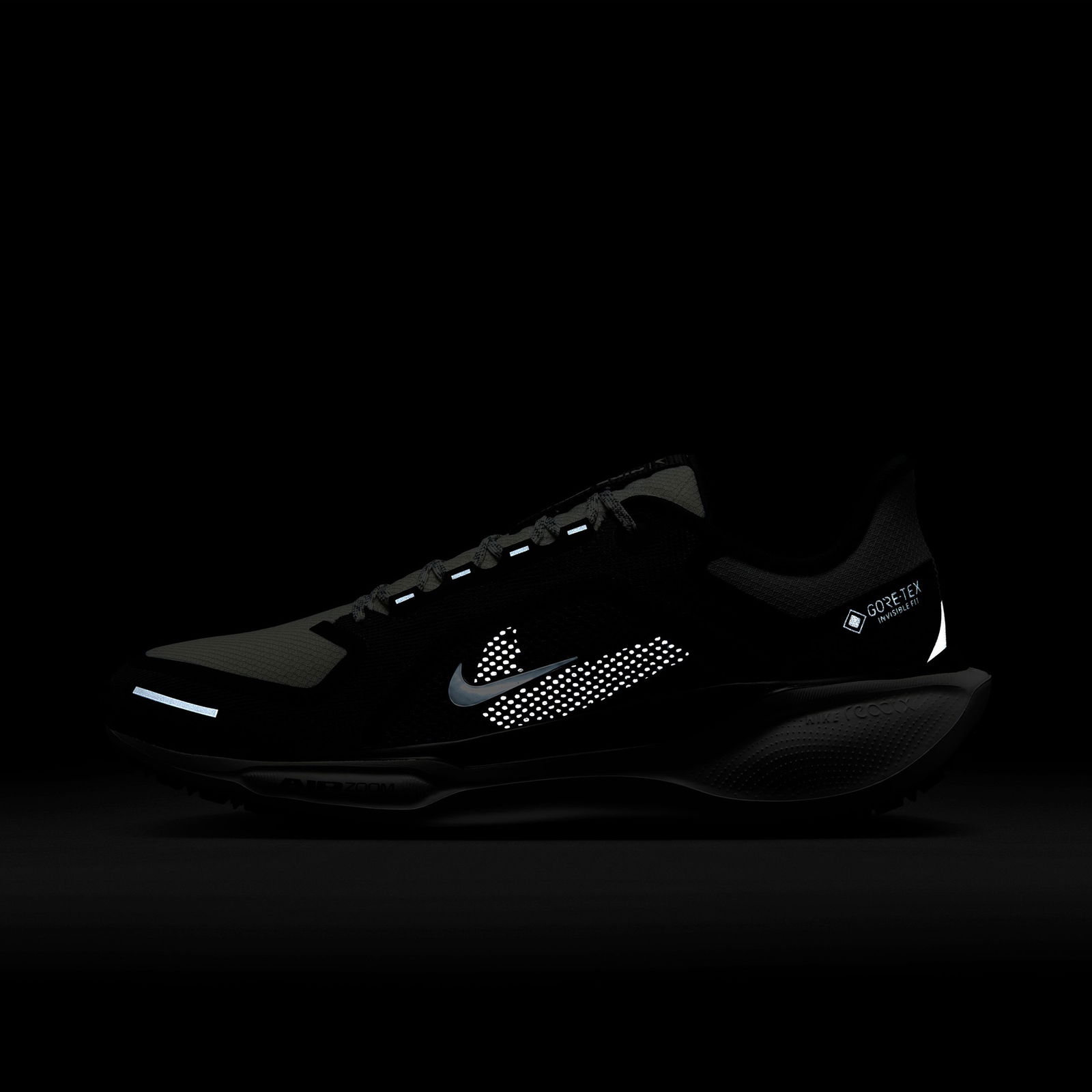 Nike Pegasus 41 GORE-TEX Erkek Siyah Spor Ayakkabı