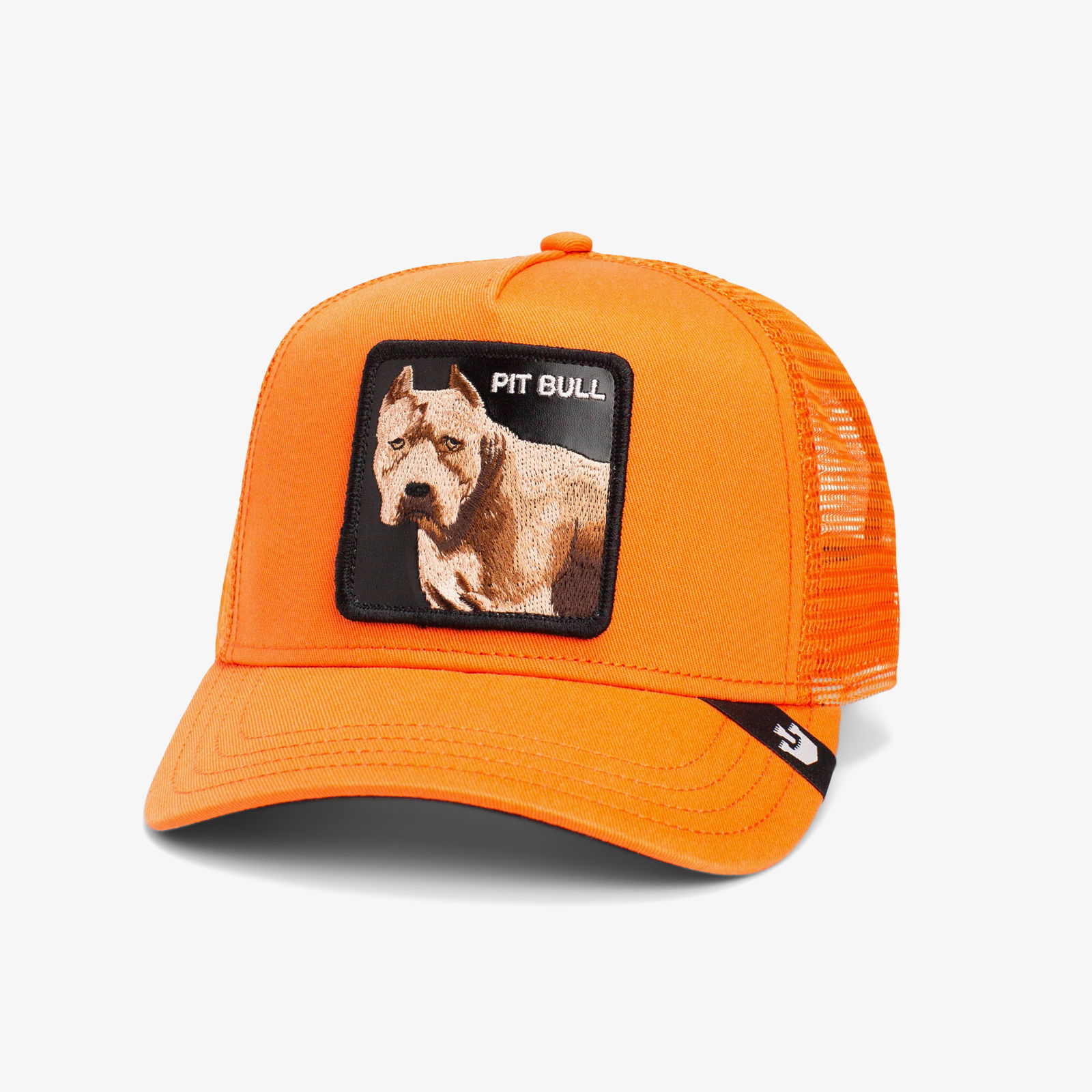 Goorin Bros The Dog Pitbull Unisex Turuncu Şapka
