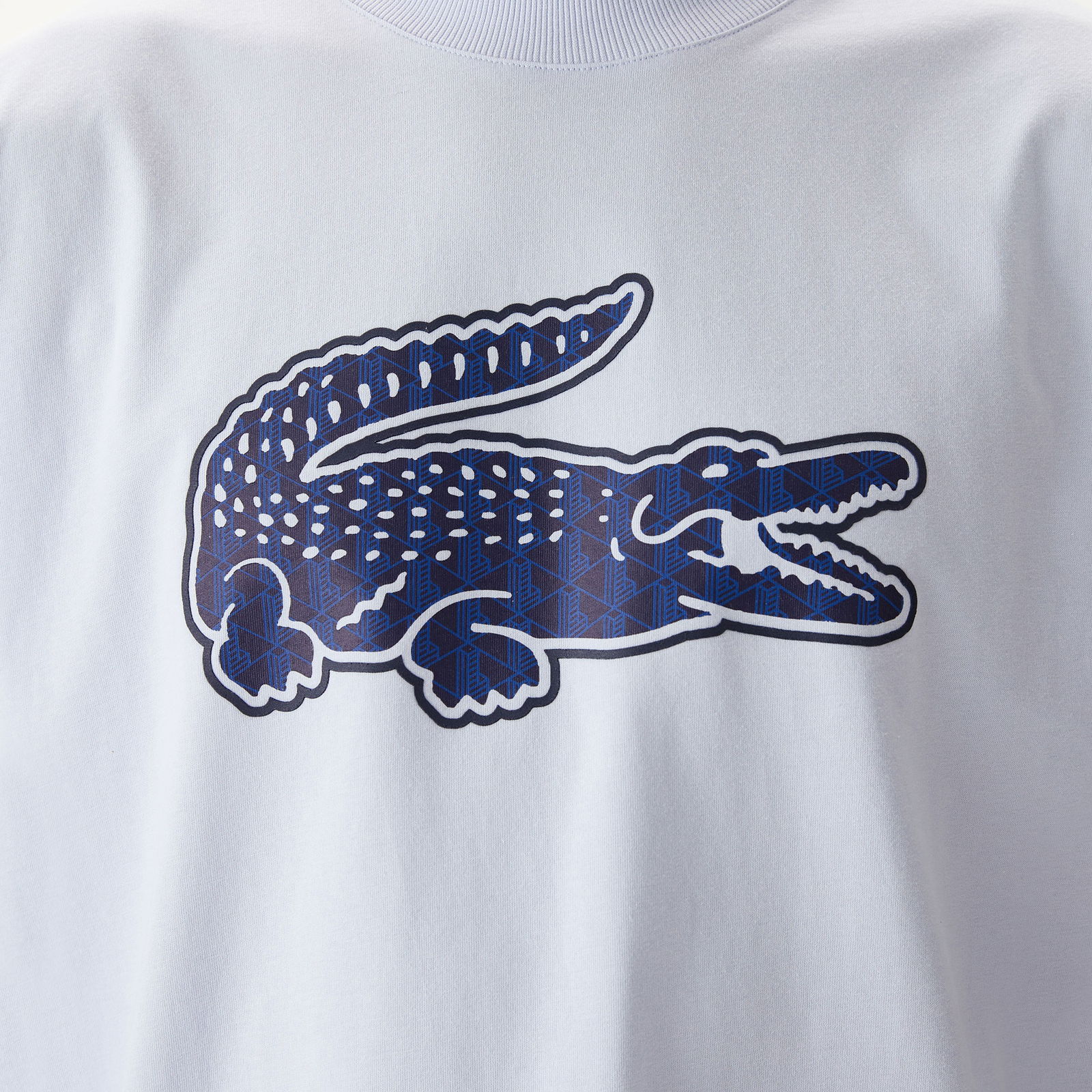 Lacoste Erkek Relaxed Fit Bisiklet Yaka Baskılı Beyaz T-Shirt