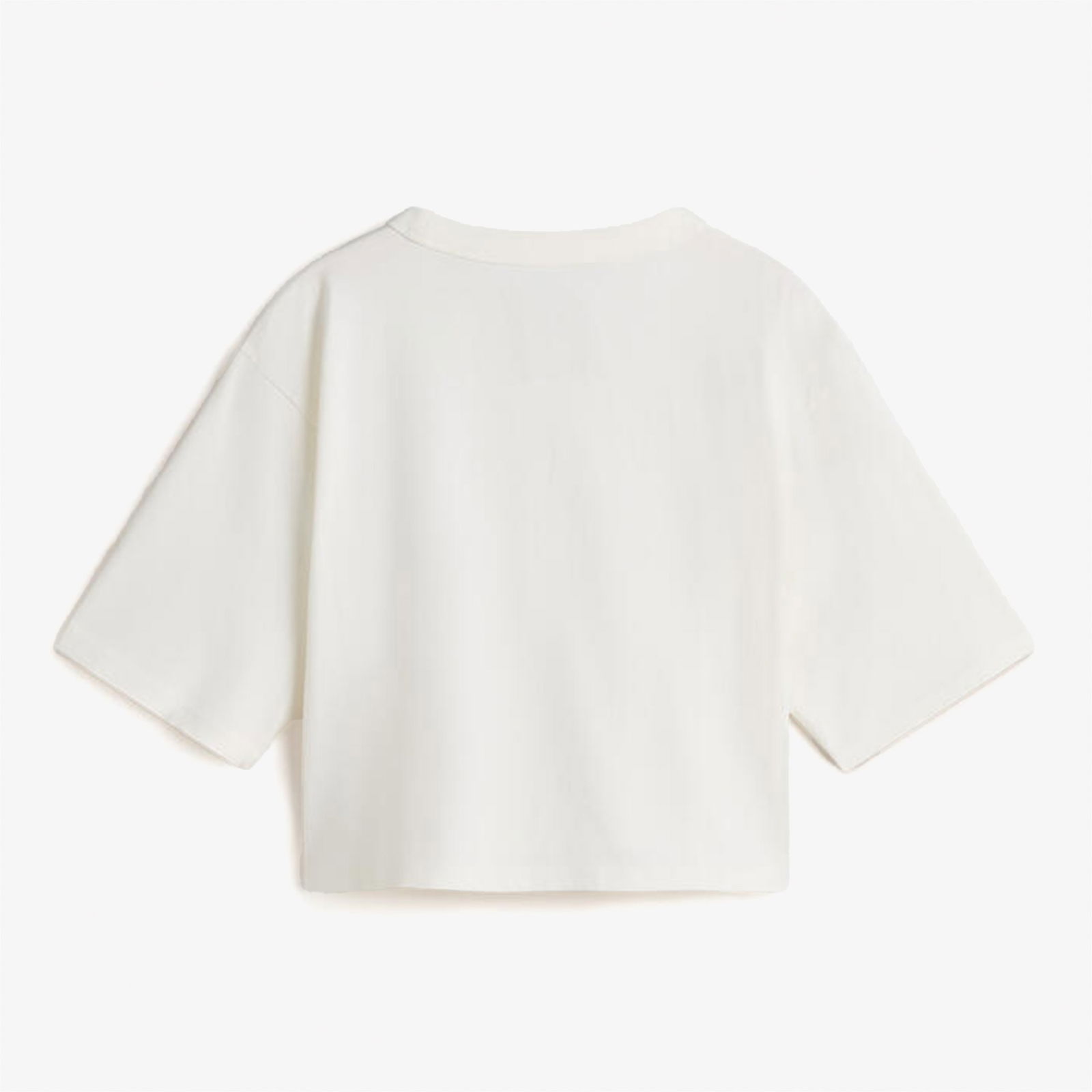 Vans MTE Wildthorn Reflective Boxy Fit Kadın Krem T-Shirt