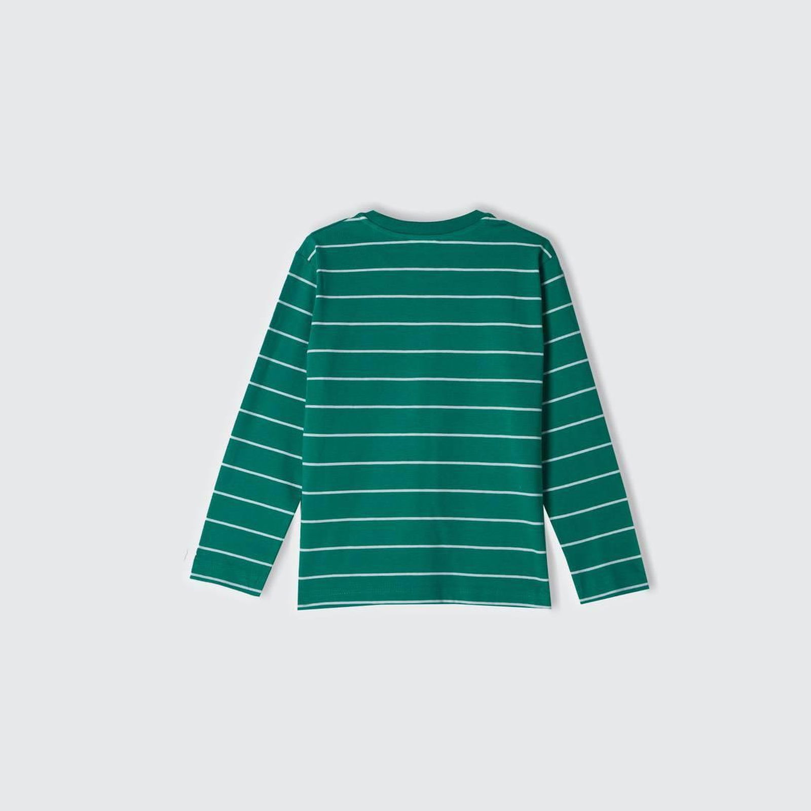Erkek Çocuk Yeşil Önü Baskılı Çizgili Bisiklet Yaka Uzun Kollu T-Shirt