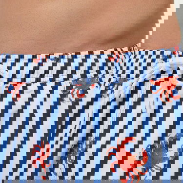  Brooks Brothers Lastikli Çizgili Yengeçli Deniz Erkek Mavi Mayo Şort
