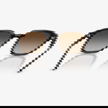  Ray-Ban RB4458D Unisex Kahverengi Güneş Gözlüğü