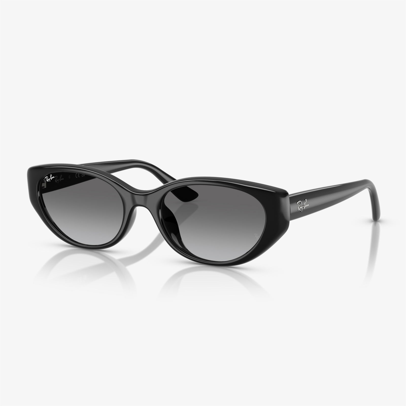 Ray-Ban RB4457D Unisex Siyah Güneş Gözlüğü