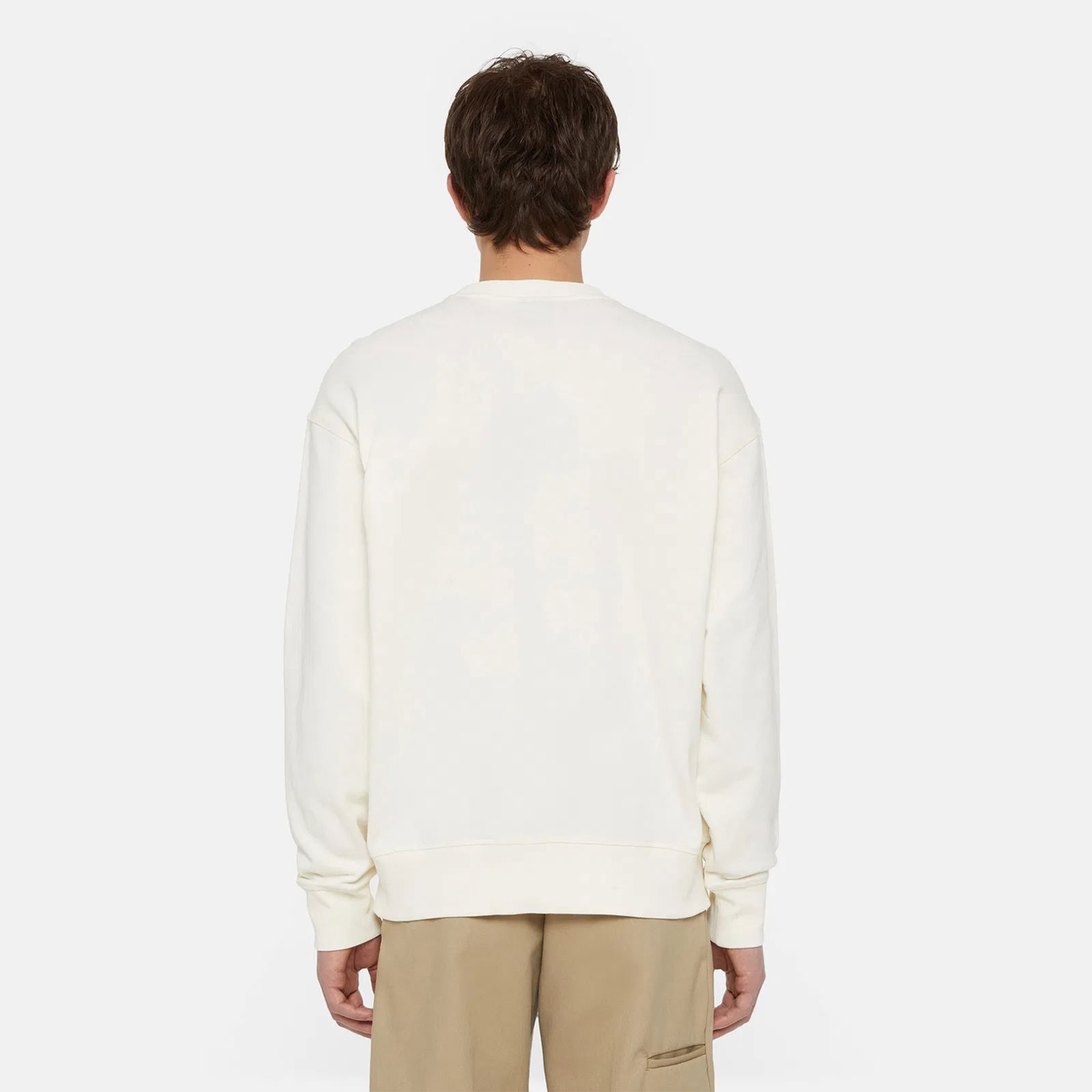 Dickies Millersburg Erkek Krem Sweatshirt