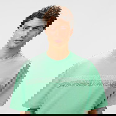  Lacoste Erkek Oversize Fit Bisiklet Yaka Baskılı Açık Yeşil T-Shirt
