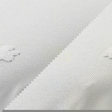  Lacoste Erkek Regular Fit Renk Bloklu Beyaz Polo